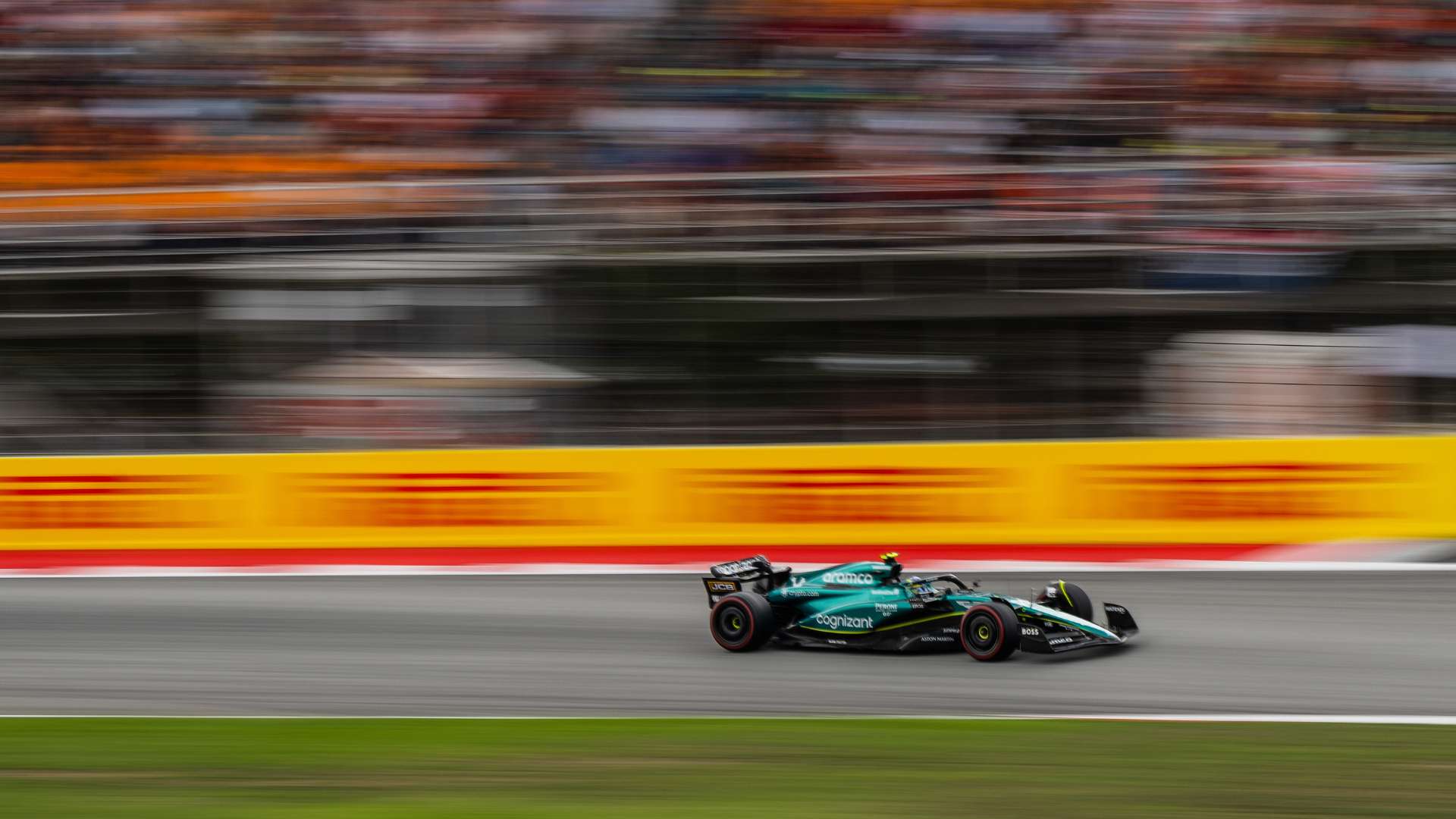 阳光明媚 阳光明媚