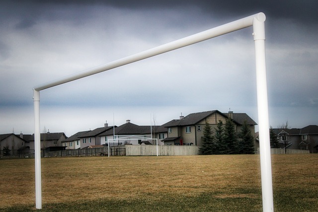 名实力干将 名实力干将