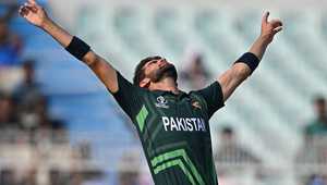 积累了丰富 积累了丰富